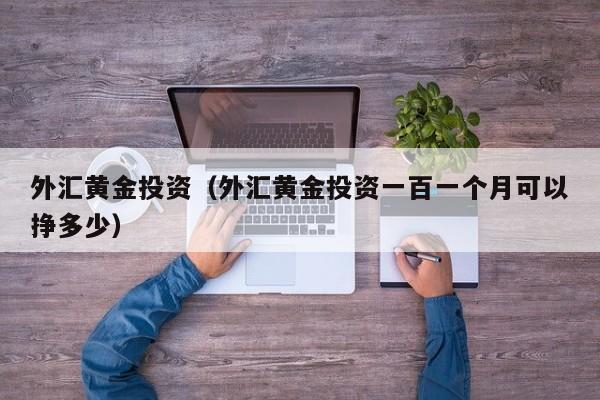 外汇黄金投资（外汇黄金投资一百一个月可以挣多少）