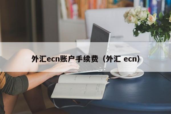 外汇ecn账户手续费（外汇 ecn）