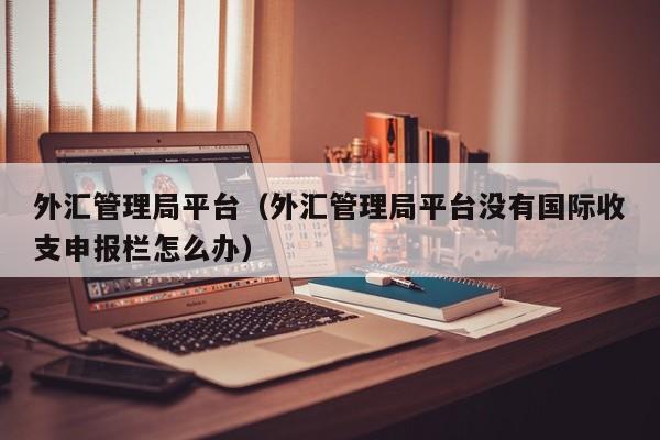 外汇管理局平台（外汇管理局平台没有国际收支申报栏怎么办）