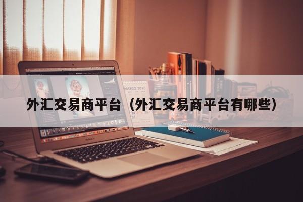 外汇交易商平台（外汇交易商平台有哪些）