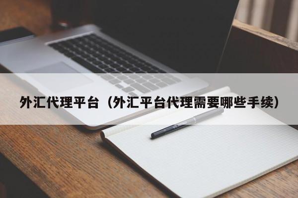 外汇代理平台（外汇平台代理需要哪些手续）