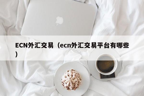 ECN外汇交易（ecn外汇交易平台有哪些）