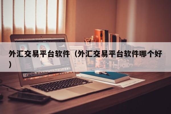 外汇交易平台软件（外汇交易平台软件哪个好）