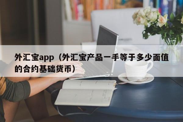 外汇宝app（外汇宝产品一手等于多少面值的合约基础货币）