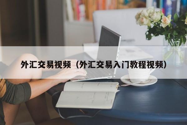 外汇交易视频（外汇交易入门教程视频）
