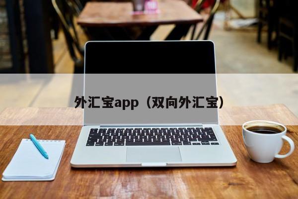 外汇宝app（双向外汇宝）