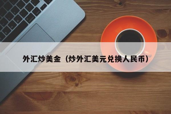外汇炒美金（炒外汇美元兑换人民币）
