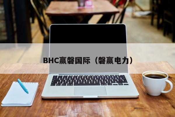 BHC赢磐国际（磐赢电力）
