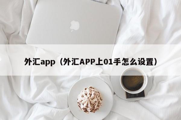 外汇app（外汇APP上01手怎么设置）
