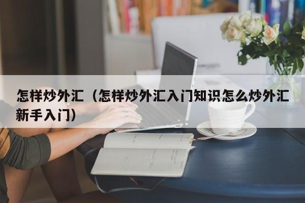怎样炒外汇（怎样炒外汇入门知识怎么炒外汇新手入门）