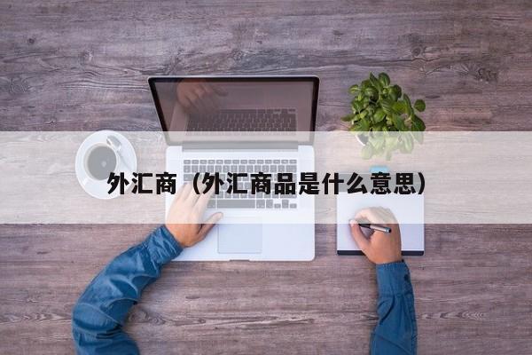 外汇商（外汇商品是什么意思）