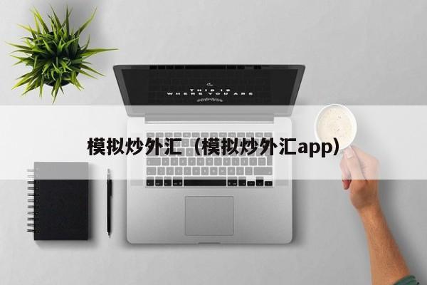模拟炒外汇（模拟炒外汇app）