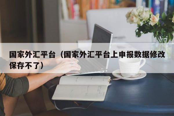 国家外汇平台（国家外汇平台上申报数据修改保存不了）