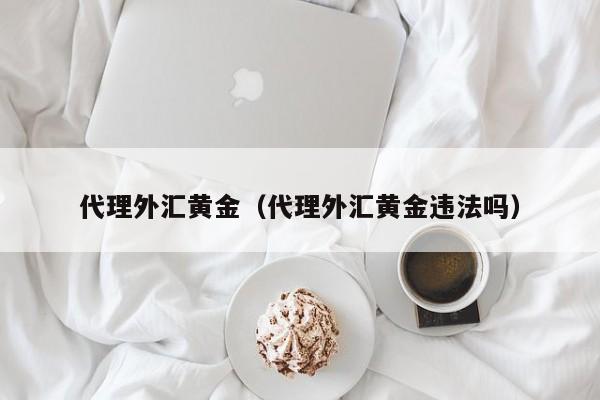 代理外汇黄金（代理外汇黄金违法吗）
