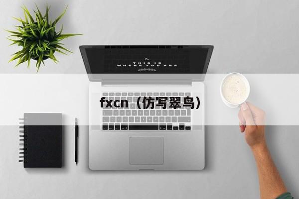 fxcn（仿写翠鸟）
