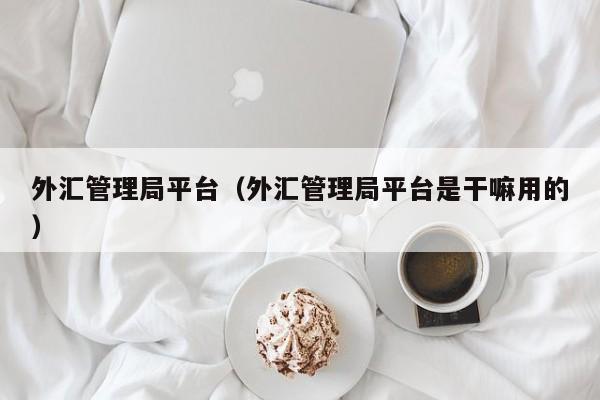 外汇管理局平台（外汇管理局平台是干嘛用的）