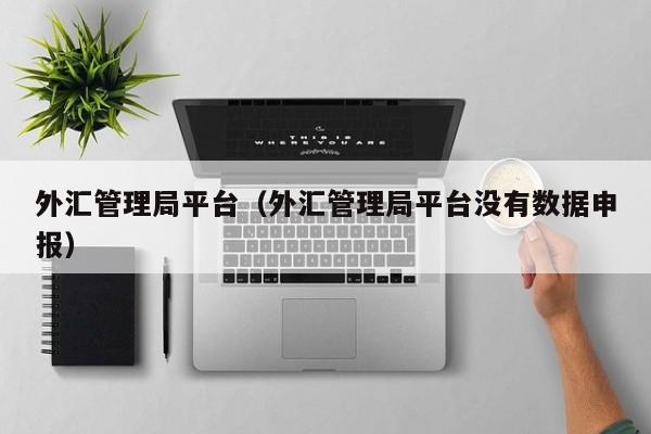 外汇管理局平台（外汇管理局平台没有数据申报）