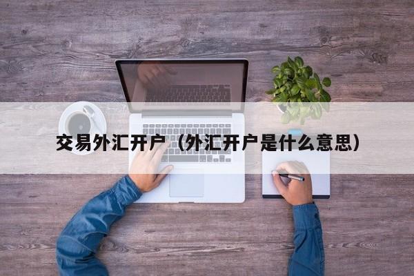 交易外汇开户（外汇开户是什么意思）