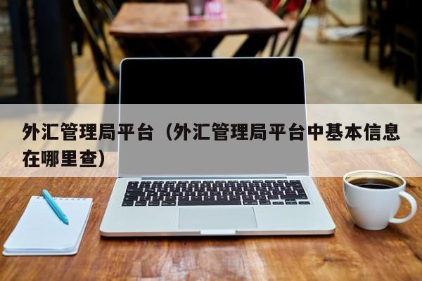 外汇管理局平台（外汇管理局平台中基本信息在哪里查）