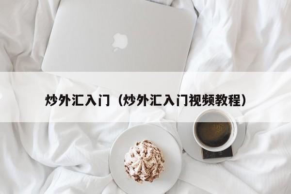 炒外汇入门（炒外汇入门视频教程）