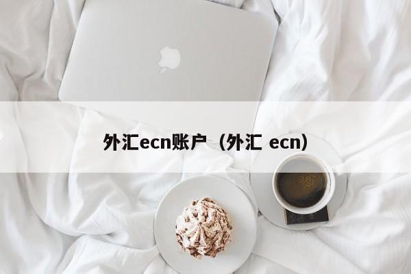 外汇ecn账户（外汇 ecn）