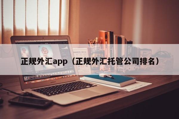 正规外汇app（正规外汇托管公司排名）