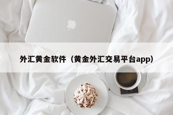 外汇黄金软件（黄金外汇交易平台app）