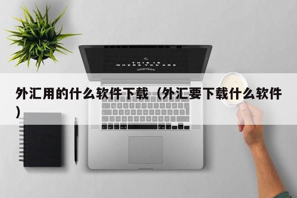 外汇用的什么软件下载（外汇要下载什么软件）