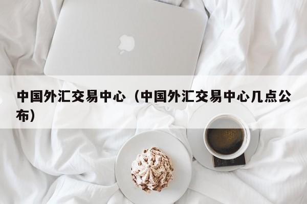 中国外汇交易中心（中国外汇交易中心几点公布）