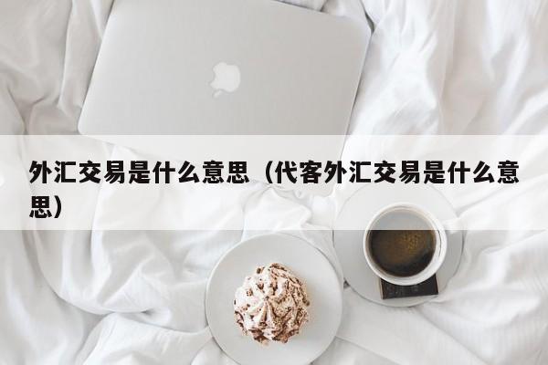 外汇交易是什么意思（代客外汇交易是什么意思）