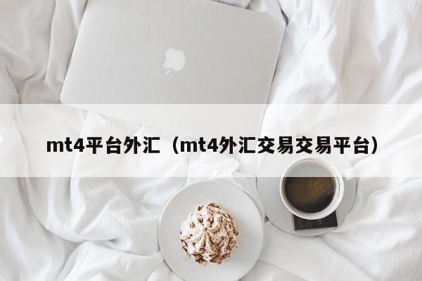 mt4平台外汇（mt4外汇交易交易平台）