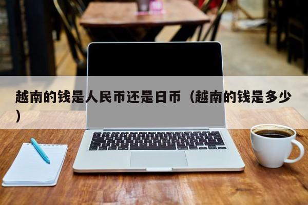 越南的钱是人民币还是日币（越南的钱是多少）