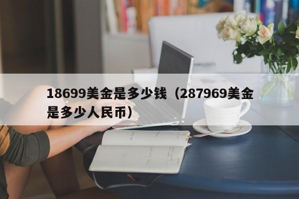18699美金是多少钱（287969美金是多少人民币）