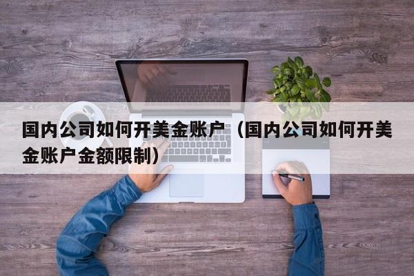 国内公司如何开美金账户（国内公司如何开美金账户金额限制）