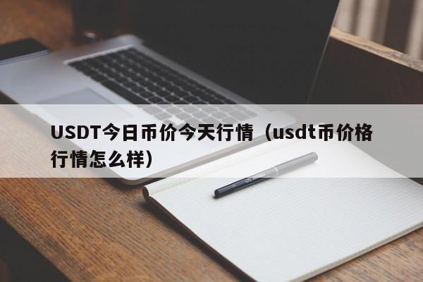 USDT今日币价今天行情（usdt币价格行情怎么样）
