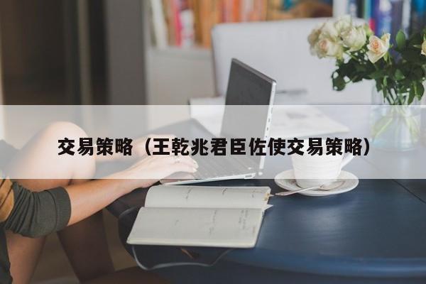 交易策略（王乾兆君臣佐使交易策略）